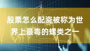 股票怎么配资被称为世界上最毒的螺类之一