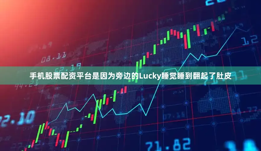 手机股票配资平台是因为旁边的Lucky睡觉睡到翻起了肚皮